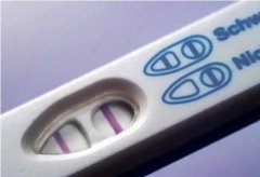 受精卵着床需要几天才能确认怀孕?