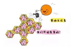 黄体期促排