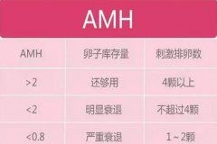 医院检查AMH值0.9ng/ml能做试管吗?