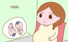 想要试管双胞胎？这些前提条件必不可少！