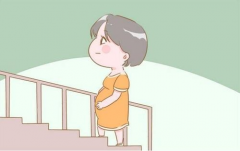 高龄女性怀孕大挑战：揭秘难度背后的原因，各年龄段怀孕成功率一网