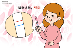 试管知识大揭秘：移植胚胎后，为何要先“玩”排卵试纸？这里有答案