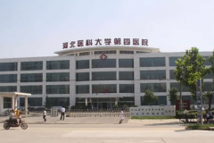 河北省四院试管费用揭秘：2023最新价格清单出炉！