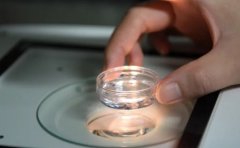 试管怎么选择？一文解读