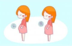 怀男孩的科学秘诀：从受孕时机谈起！