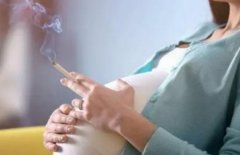 试管期间注意吸烟影响！女性吸烟对试管成功有多大影响？