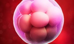 试管0-3pn胚胎移植攻略！胚胎1pn到底该不该移植？