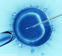 2022年上海试管“金牌医院”大揭秘！数据说话，实力比拼！