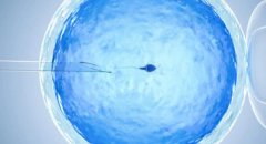为什么说第二次做试管更容易成功？是真的吗？