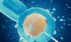 为什么试管超长方案成功率更高？那些因素决定？