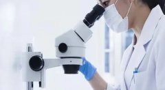 泰国BNH医院hiv试管费用高吗？大概要多少？