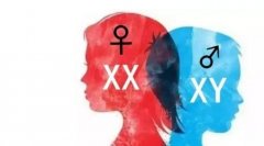 2号染色体异常，为什么只能选择做三代试管？