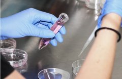 武汉三代试管做的怎么样？武汉同济医院第三代试管推荐做吗？