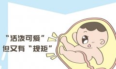 试管婴儿能决定孩子的智商吗？由什么决定的？