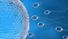 武汉大学中南医院做供卵试管需要多少钱？