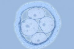 试管助孕对女性的amh值和fsh值有要求吗？