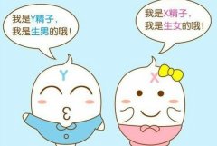 美国第三代试管的成功率怎么样？