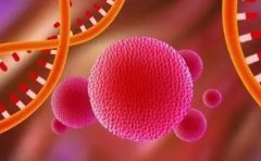 4号染色体决定什么?染色体异常可以做三代试管吗？