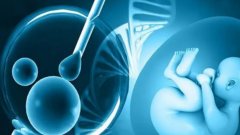 试管反复失败，到底是什么因素造成的？