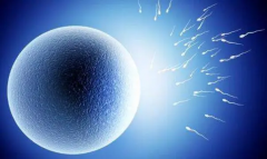 高龄做供卵试管，去香港做能不能选择孩子性别？