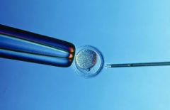 2024柬埔寨做供精试管，能不能做中英混血宝宝？