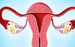 鞍状子宫影响试管着床吗？成功率怎么样？