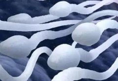 如何科学提升精子质量?来试试这些方法