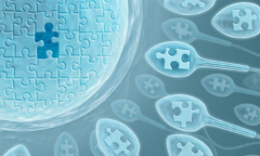 武汉中南医院：试管的“梦想工厂”，价格揭秘！