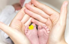 泰国试管的费用贵吗?看看具体需要多少?