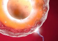 试管要多注意，尤其是在泰国!