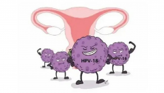 医院为何对男性HPV检查“吝啬”？它对生育力和性生活有何影响？