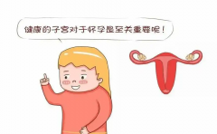 探索“迷你”子宫之谜：幼稚VS始基，四大不同大揭秘！
