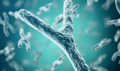 Azfc缺失影响男性生育，能做三代试管吗？了解三代试管的适应症