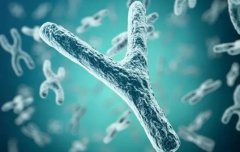 男性y精子缺失要怎么治疗？可以做三代试管吗？