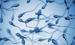 精子形态率3%算严重问题吗？能做试管吗？怎么治疗？