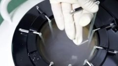 试管用冻卵好还是鲜卵好？了解三大差异