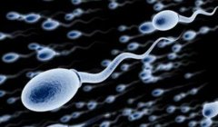 冻精和鲜精试管期间时间不同，这些人群需要注意