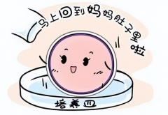 鲜胚移植12天了还没受孕，是不是代表胚胎已死亡？