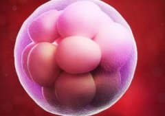胚胎质量一般但养囊成功，这种情况移植成功后有什么风险吗