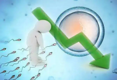 弱精症做试管，成功率几何？能否如愿当父母？