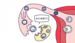 卵巢破裂可以艾灸，但要注意这些情况