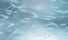 精子质量差和遗传病有关系吗？精子成活率低会遗传吗？