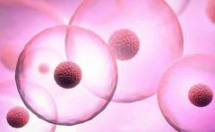 卵泡不破裂和子宫内膜疾病有关系，还要注意这些情况