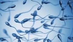 来例假精子无法存活受孕怎么办？精子在女性体内一般存活多久？