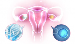 左侧卵巢里的“小捣蛋”：囊肿悄悄来，危害知多少？