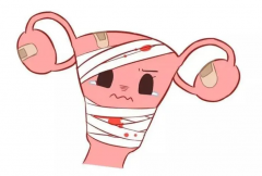 天伦是卵巢的“魔法棒”？卵巢功能“罢工”了，怎么办才好？