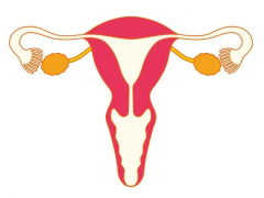 揭秘输卵管堵塞治疗费用：为何价格差异如此之大？