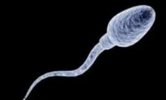 如何知道精子是否正常？通过这些方法检查精子