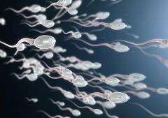 精子“变形记”：畸形率多少算“正常”？高畸形率如何逆袭？