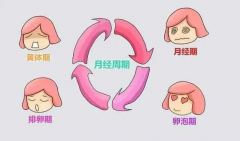 揭秘月经不规律下的排卵期魔法，女生何时最易受孕？